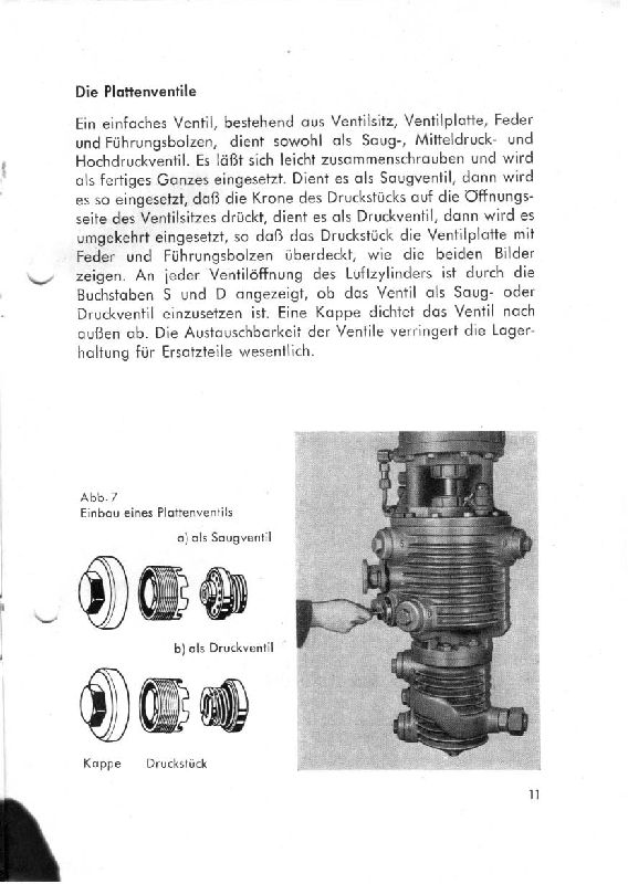 knorr1-11.jpg