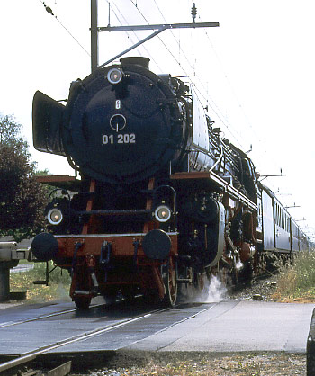 01 202 crosses the level crossing at Avenches during the second runpast of the day. May 31 2003