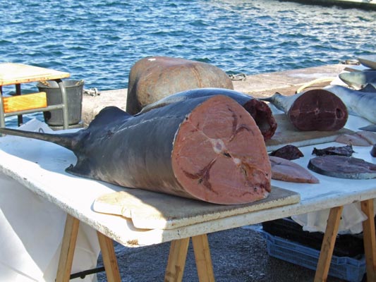 On the Dutch Quay of the old port there was an excellent fish market.