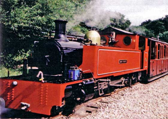 The original 'Mark Timothy', built in the style of the Irish narrow gauge class 5a County Donegal Joint Railways Committee locomotive. © Alan Richardson