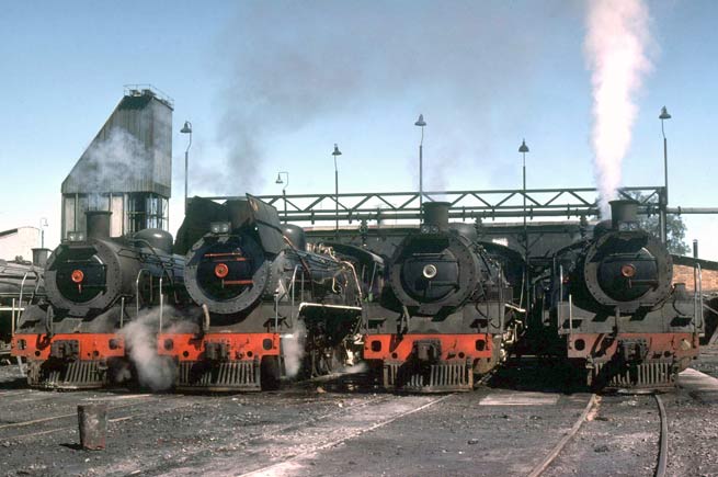 Modified 19D 2664 (second left) stands with other unmodified 19Ds at Mafikeng depot. March 28 1981.  Roger Griffiths 