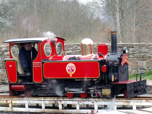 Fox on the turntable at Shelley. April 11 2004