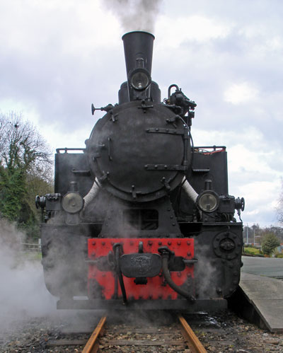 WLLR No.19 - head on at Welshpool. 16 March 2008 &copy; Nigel Day 