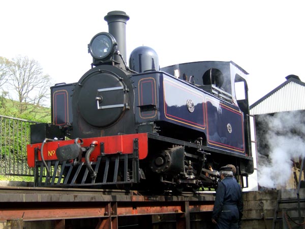No.14 stands over the excellent servicing area at Llanfair Caereinion depot. 05 May 2008 