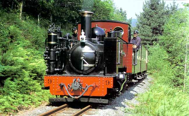 Textbook oil firing. Vale of Rheidol's No 9 Prince of Wales approaches Rheidol Falls on a warm August day in 1991. The chimney is emitting a 'grey haze', showing that almost perfect combustion of the gas oil is being achieved. © John R. Jones