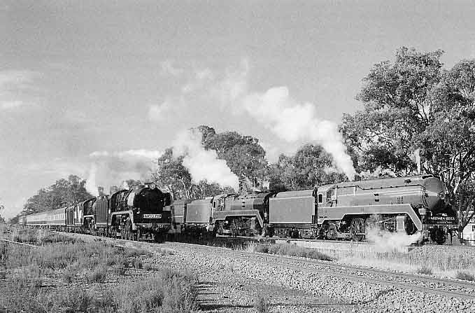 During a photo opportunity at Euroa R 761, R 711 and 3801, 3830 are on the parallel run from Wodonga to Melbourne. R 761 ran sleeping cars to Wodonga Thursday night; R 711 and S 313 took up a day train from Melbourne Friday morning. At Wodonga the two Rs were combined for the return journey and later that day 313 headed south with the empty sleeping cars. 21.4.2000. WARREN BANFIELD