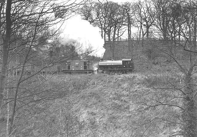 No.38 in Causey woods with a demonstration coal train. March 31 1996