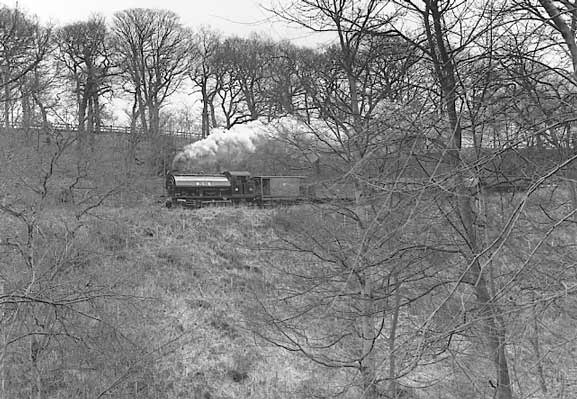 No.38 returns through Causey woods with a demonstration coal train. March 31 1996