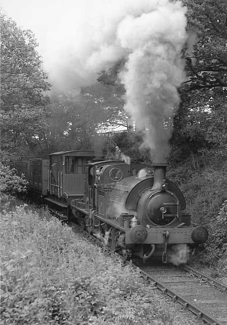 No.2 and Irwell blast out of Causey with a goods train. July 2 1995