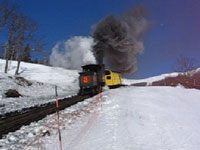 A Locomotive on Coal Fuel