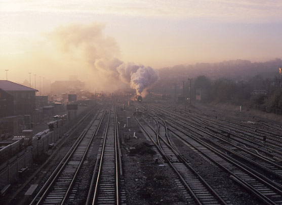 More shunting ! 46229 Duchess of Hamilton pulls forward out of Guildford station. November 16 1996