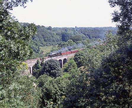 5029 Nunney Castle drifts across Frampton Mansell viaduct with the 'Cotswold Venturer' July 17 1994