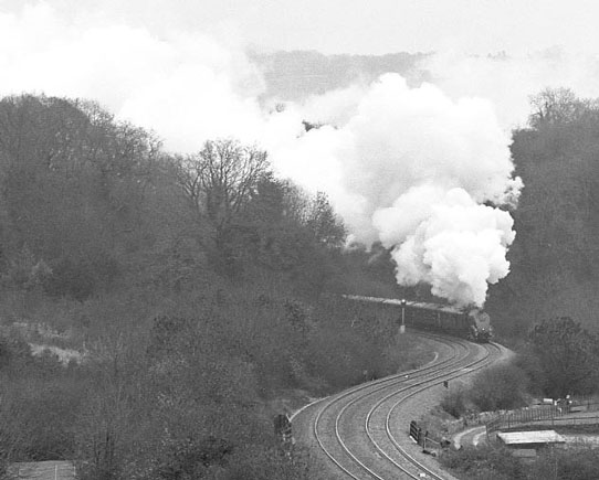 60009 Union of South Africa recovers from a slip whilst climbing Dainton Bank in the wet. November 22 2003