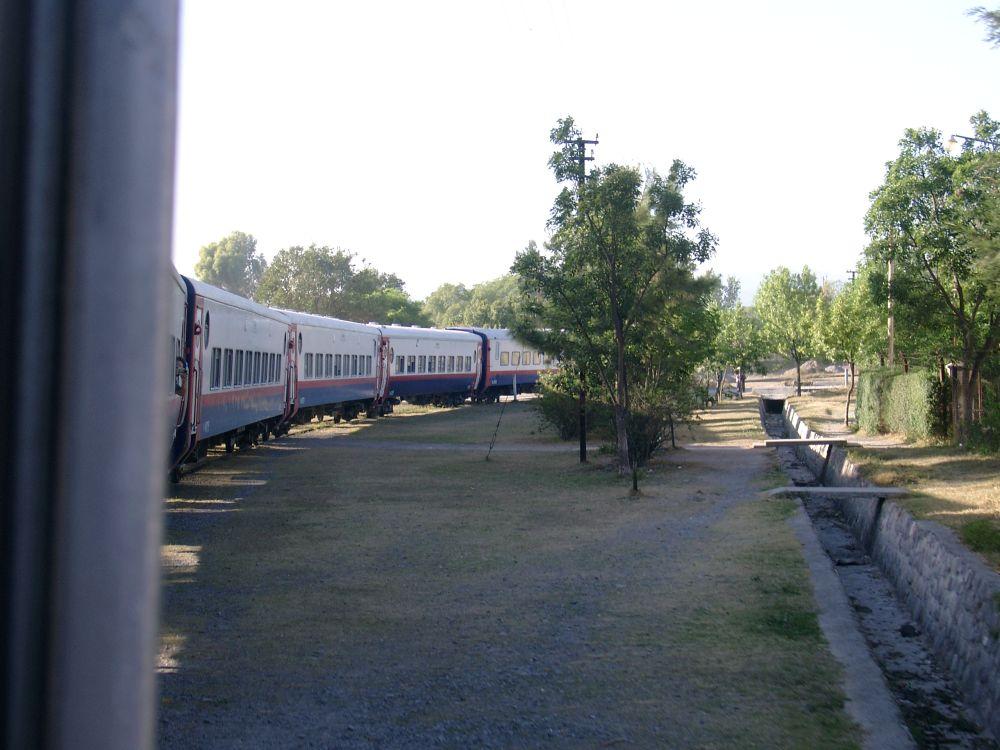 10160020.JPG