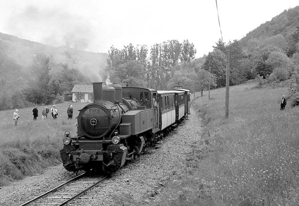CFV 0-6-6-0t 414 posed for photos with a number of observers in the background who proved unpopular with certain photographers in the line-up! 