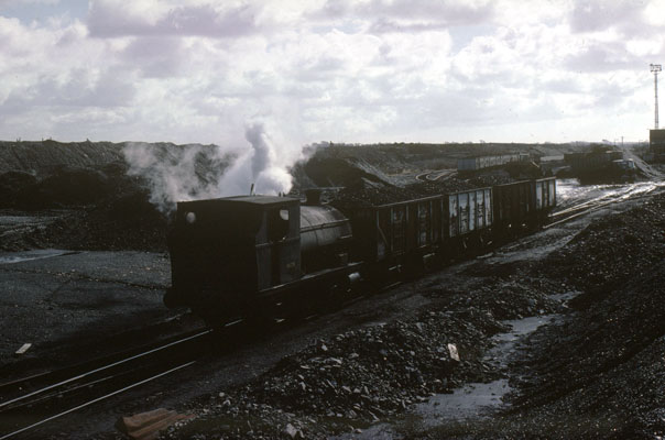 No.1426 shunting loaded wagons at Brynlliw Colliery. January 31 1978. © Roger Griffiths No.1426 shunting loaded wagons at Brynlliw Colliery. January 31 1978. © Roger Griffiths