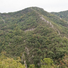 DSC3041  A typical view, when the trees allowed. : Romania