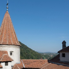 DSC4264  Bran Castle. : Romania
