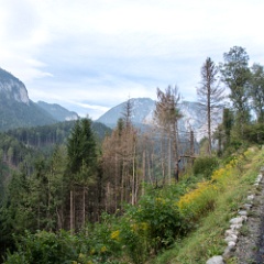 DSC5608 : Austria
