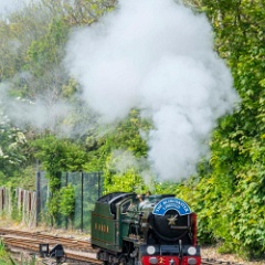 DSC8752 : RHDR, Romney Hythe & Dymchurch Railway