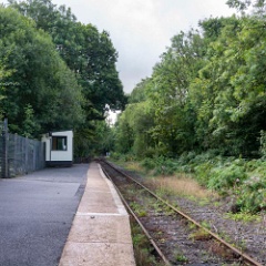 DSC0449 : Cornwall, Looe & Caradon Railway