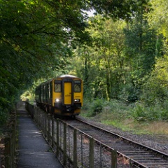 DSC0452 : Cornwall, Looe & Caradon Railway