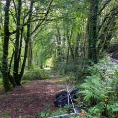 DSC0466 : Cornwall, Looe & Caradon Railway