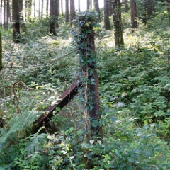 DSC0470 : Cornwall, Looe & Caradon Railway