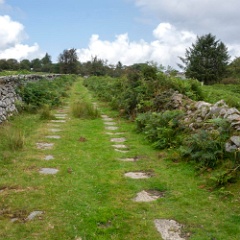 DSC0530 : Cornwall, Looe & Caradon Railway