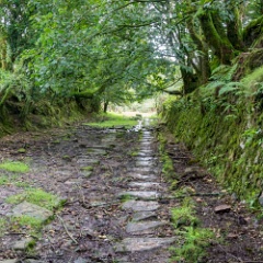 DSC0536 : Cornwall, Looe & Caradon Railway