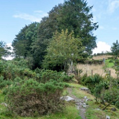 DSC0538 : Cornwall, Looe & Caradon Railway