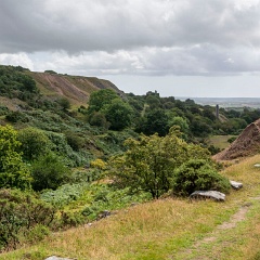 DSC0539 : Cornwall, Looe & Caradon Railway