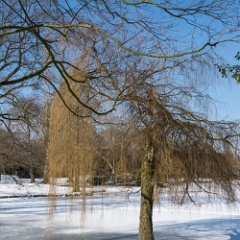 DSC4842 : Germany, Hannover