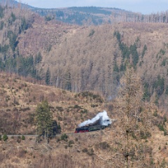 DSC9720 : Germany, HSB, Harz