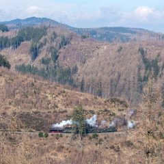 DSC9725 : Germany, HSB, Harz