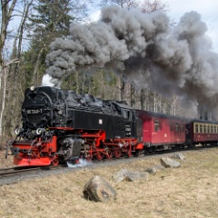 DSC9822 : Germany, HSB, Harz