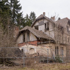 DSC9841 : Germany, HSB, Harz