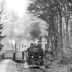 DSC9858 : Germany, HSB, Harz