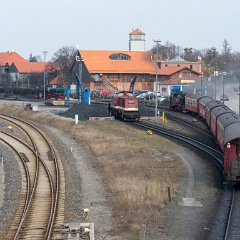 DSC9890 : Germany, HSB, Harz