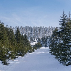 DSC4972 : Germany, HSB, Harz