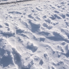 DSC4978 : Germany, HSB, Harz