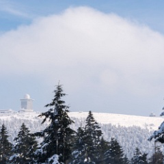 DSC4983 : Germany, HSB, Harz