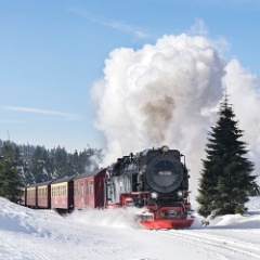 DSC4992 : Germany, HSB, Harz