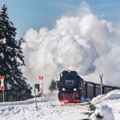 DSC5049 : Germany, HSB, Harz