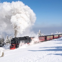 DSC5108 : Germany, HSB, Harz