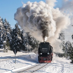 DSC5193 : Germany, HSB, Harz