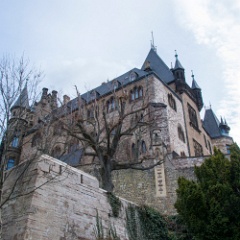 DSC0008 : Germany, HSB, Harz