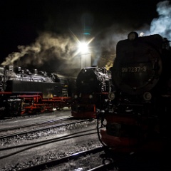 DSC0200 : Germany, HSB, Harz