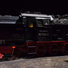 DSC0315 : Germany, HSB, Harz