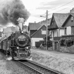 DSC9972 : Germany, HSB, Harz